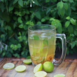 Letní limonáda skvěle chutná, osvěží a je na zlepšení trávení a zažívání. To díky tomu, že jsme použili Český kmín.