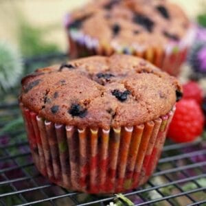 Ostružinové muffiny